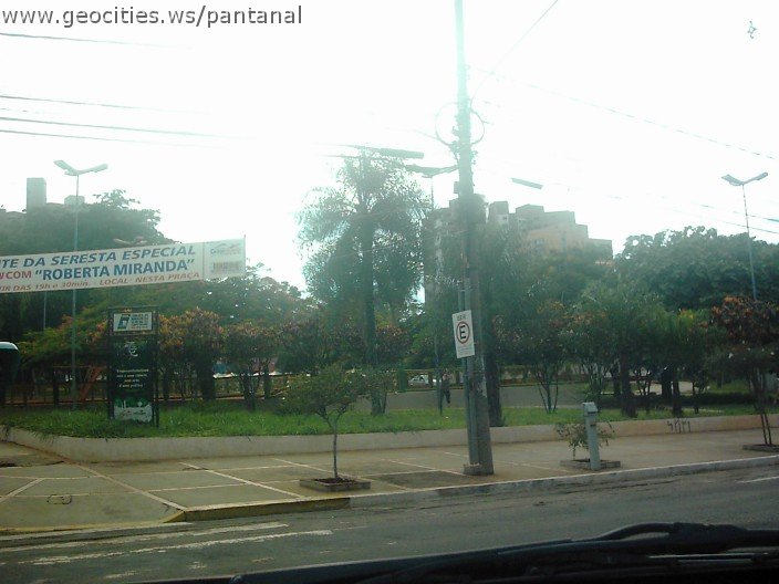 2819_geocities_ws_pantanal.jpg