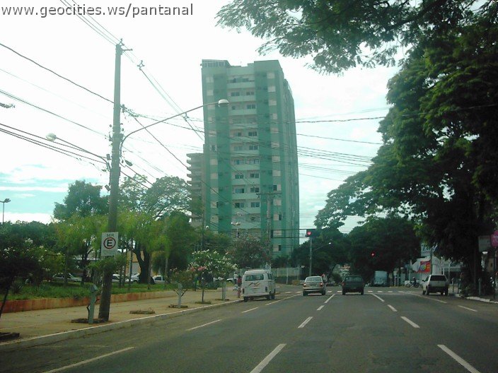 2821_geocities_ws_pantanal.jpg