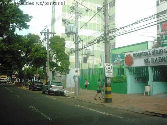 2826_geocities_ws_pantanal.jpg
