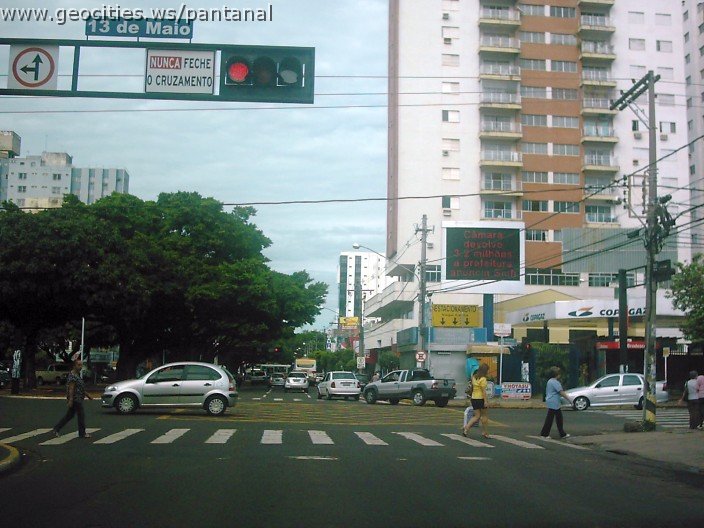 2834_geocities_ws_pantanal.jpg
