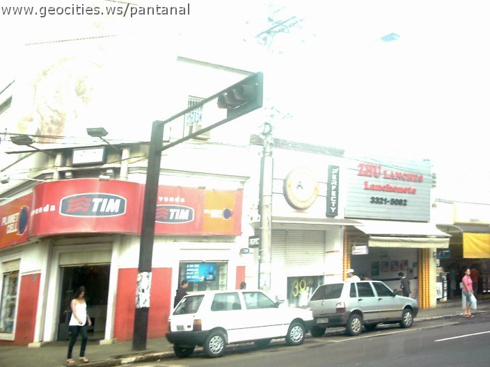 2840_geocities_ws_pantanal.jpg