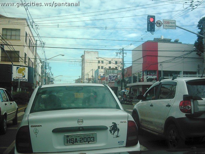 2844_geocities_ws_pantanal.jpg
