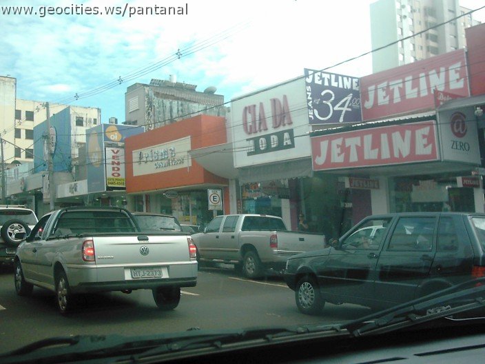 2846_geocities_ws_pantanal.jpg