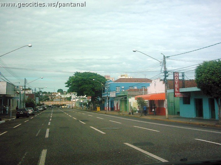 2862_geocities_ws_pantanal.jpg