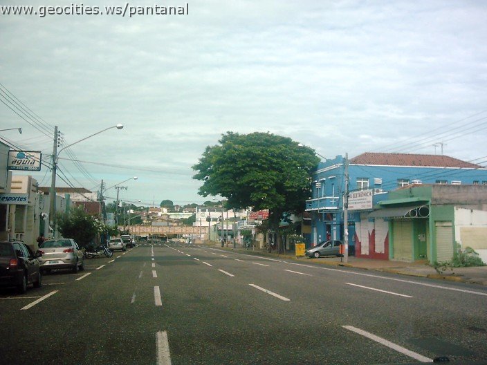 2863_geocities_ws_pantanal.jpg