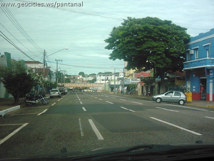2864_geocities_ws_pantanal.jpg
