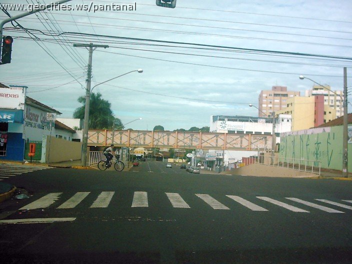 2865_geocities_ws_pantanal.jpg