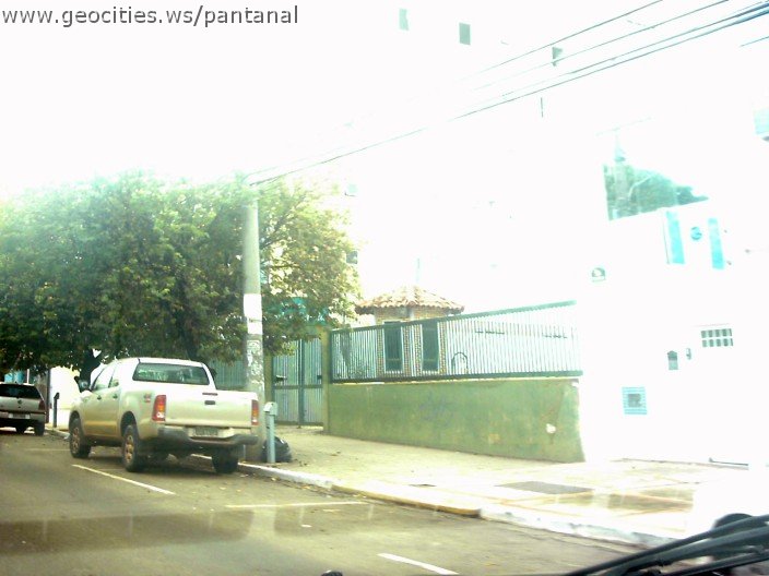 2879_geocities_ws_pantanal.jpg