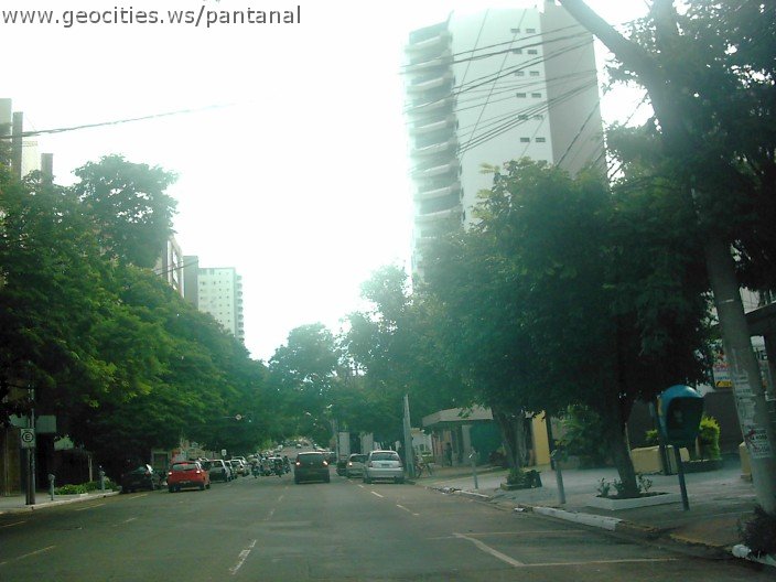2880_geocities_ws_pantanal.jpg