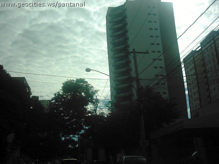 2881_geocities_ws_pantanal.jpg