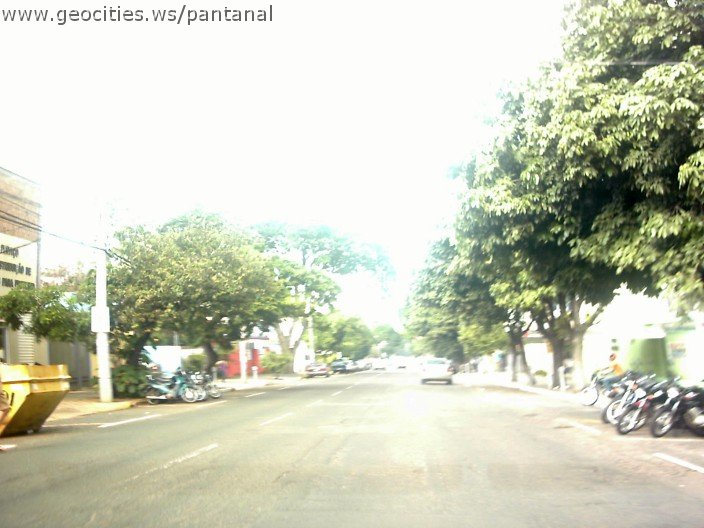 2891_geocities_ws_pantanal.jpg