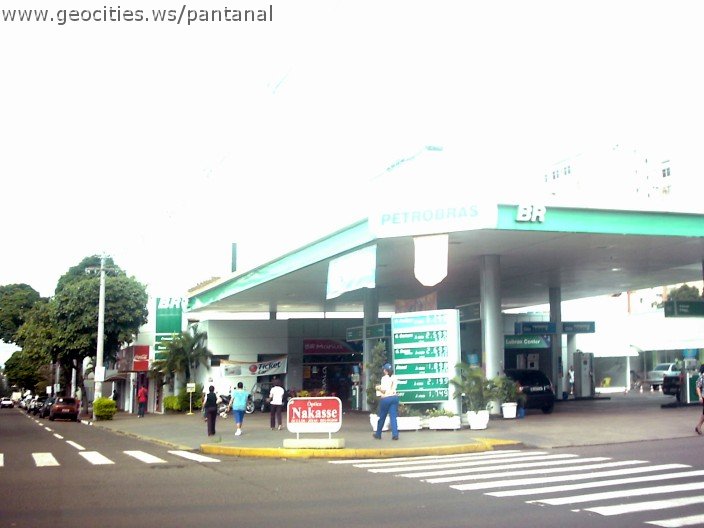 2898_geocities_ws_pantanal.jpg