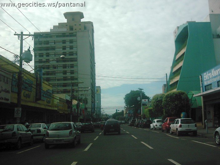 2918_geocities_ws_pantanal.jpg