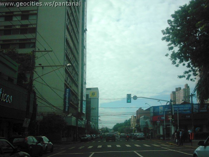 2921_geocities_ws_pantanal.jpg