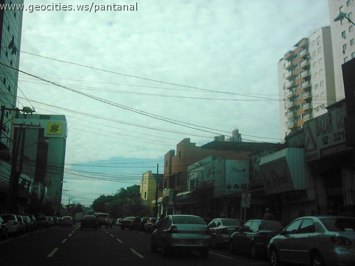 2922_geocities_ws_pantanal.jpg