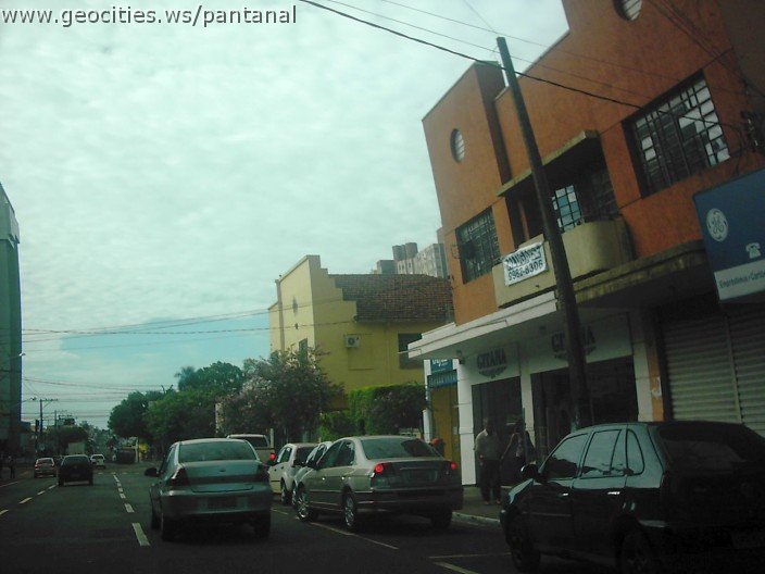 2923_geocities_ws_pantanal.jpg