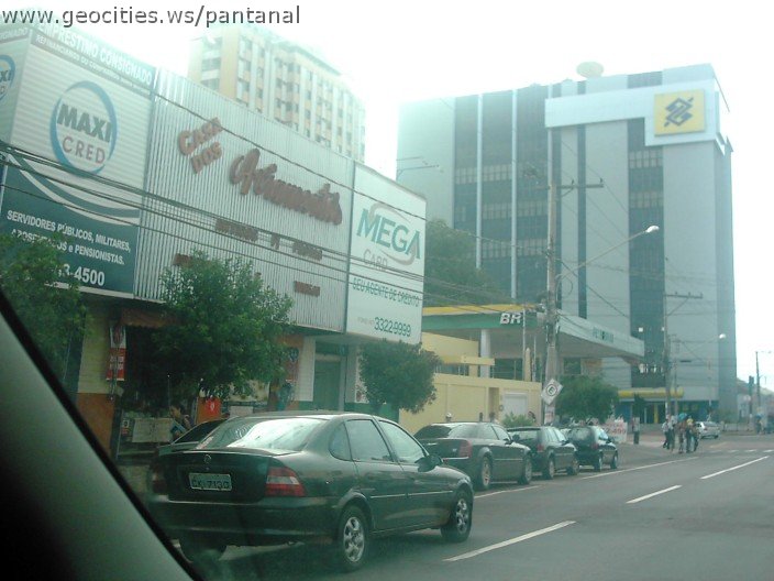 2924_geocities_ws_pantanal.jpg