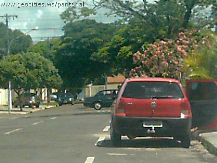 2947_geocities_ws_pantanal.jpg