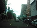 2811_geocities_ws_pantanal
