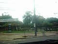 2819_geocities_ws_pantanal