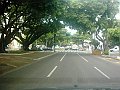 2827_geocities_ws_pantanal