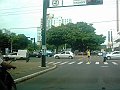 2833_geocities_ws_pantanal