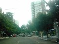 2880_geocities_ws_pantanal
