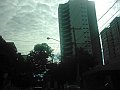 2881_geocities_ws_pantanal