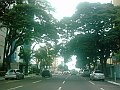 2884_geocities_ws_pantanal