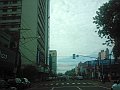 2921_geocities_ws_pantanal