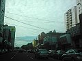 2922_geocities_ws_pantanal