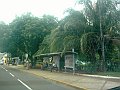 2926_geocities_ws_pantanal