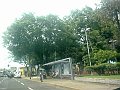 2927_geocities_ws_pantanal