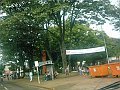 2930_geocities_ws_pantanal