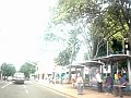 2931_geocities_ws_pantanal