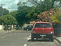 2947_geocities_ws_pantanal