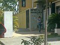 2948_geocities_ws_pantanal