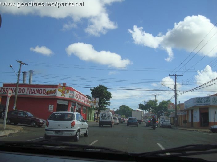 2960_geocities_ws_pantanal.jpg