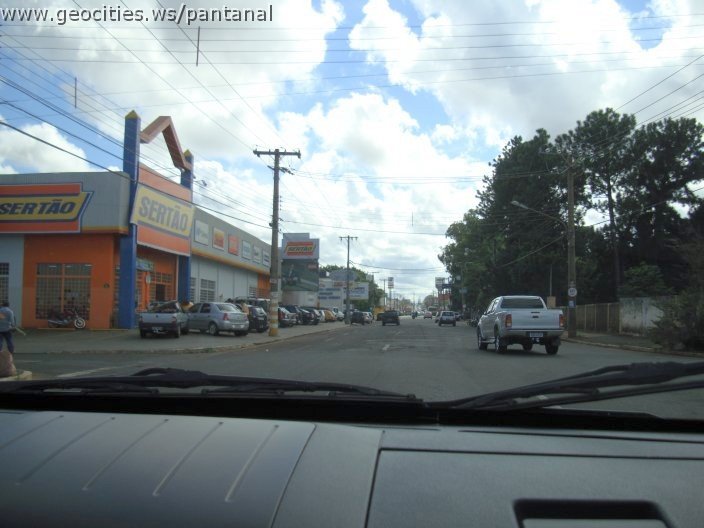2963_geocities_ws_pantanal.jpg