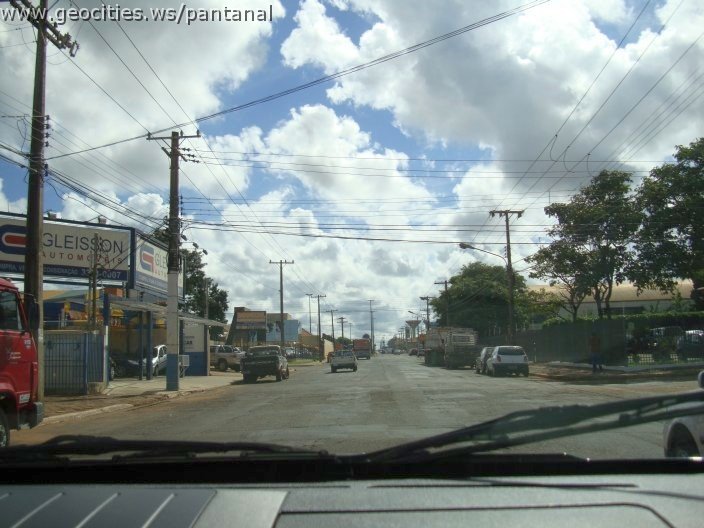 2966_geocities_ws_pantanal.jpg