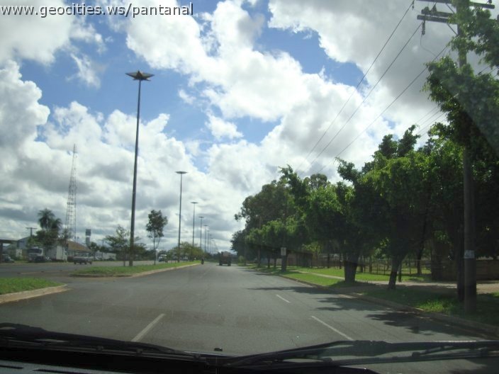 2974_geocities_ws_pantanal.jpg