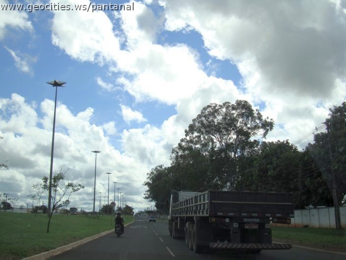2976_geocities_ws_pantanal.jpg