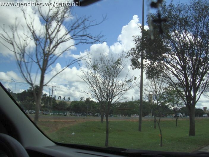 2984_geocities_ws_pantanal.jpg