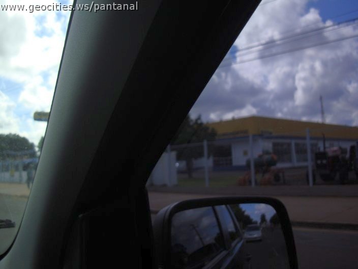 2989_geocities_ws_pantanal.jpg