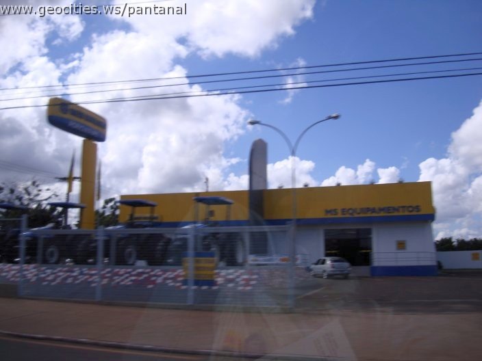 2990_geocities_ws_pantanal.jpg