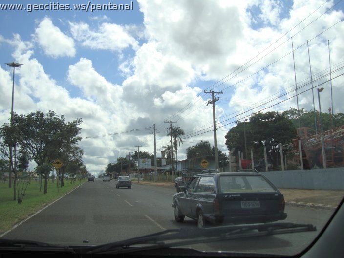 2994_geocities_ws_pantanal.jpg