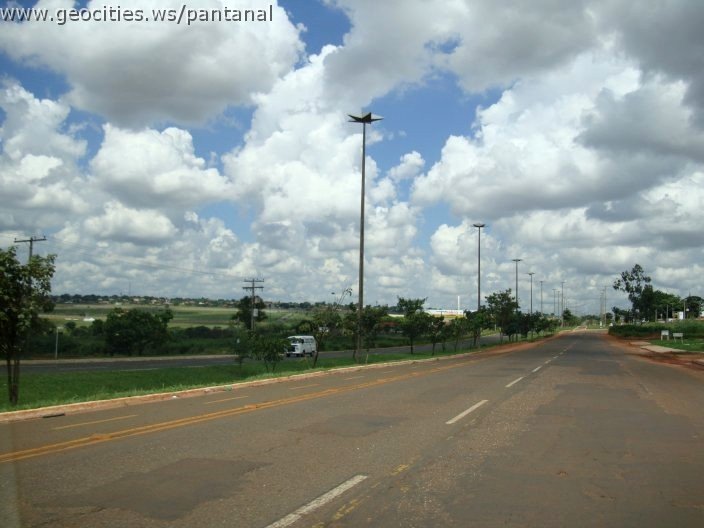 2999_geocities_ws_pantanal.jpg