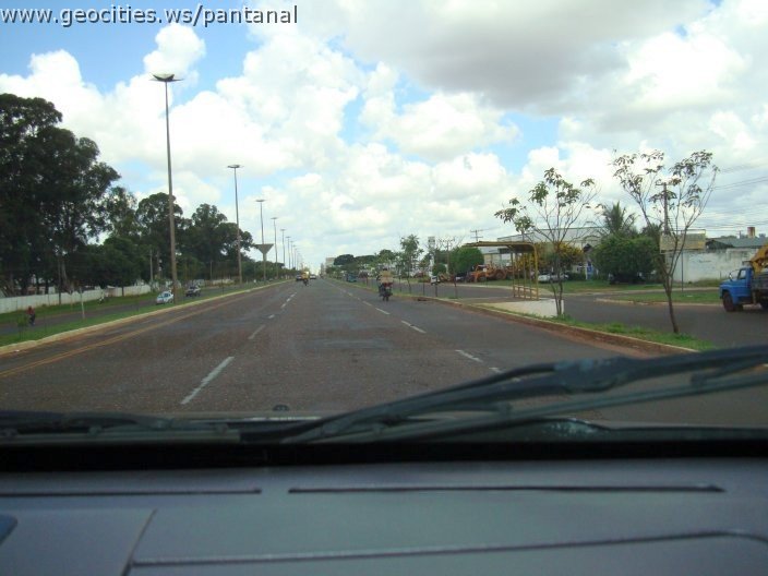 3016_geocities_ws_pantanal.jpg