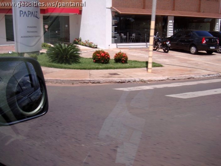 3025_geocities_ws_pantanal.jpg