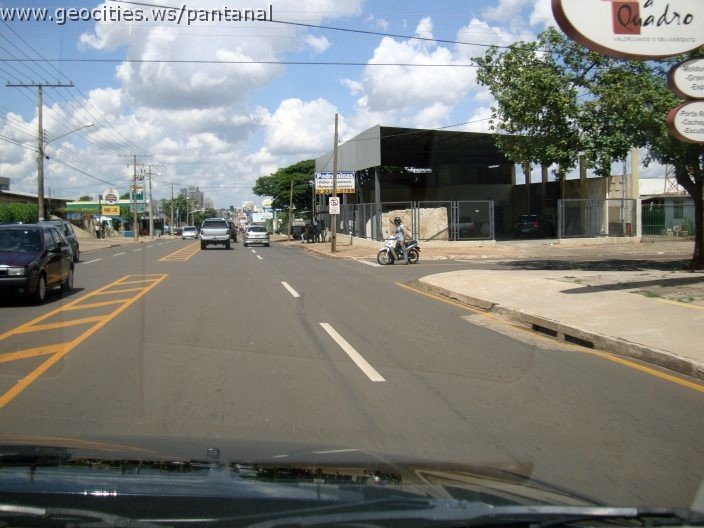 3027_geocities_ws_pantanal.jpg